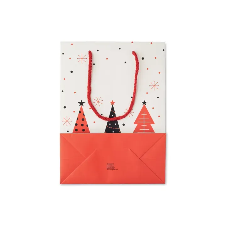 Gift paper bag medium - CX1562 (MOCN#06)